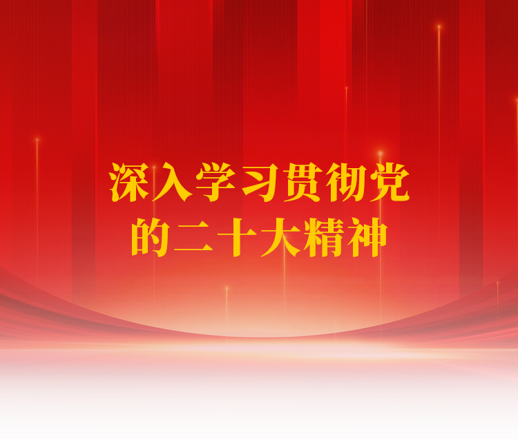 二十大專(zhuān)題頁(yè)